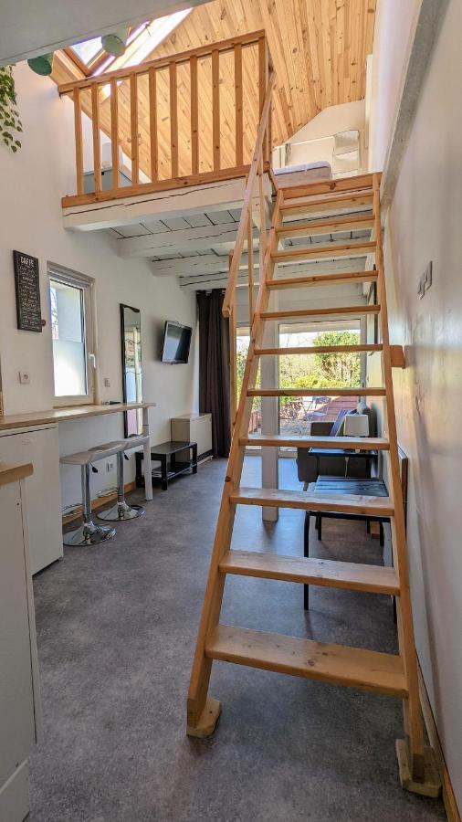 Studio Mezzanine Chez Papou, Ville Et Foret Strasbourg Luaran gambar